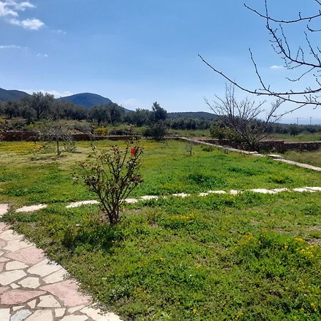 “Villa Othon-Leni” Paralia Demonias Экстерьер фото