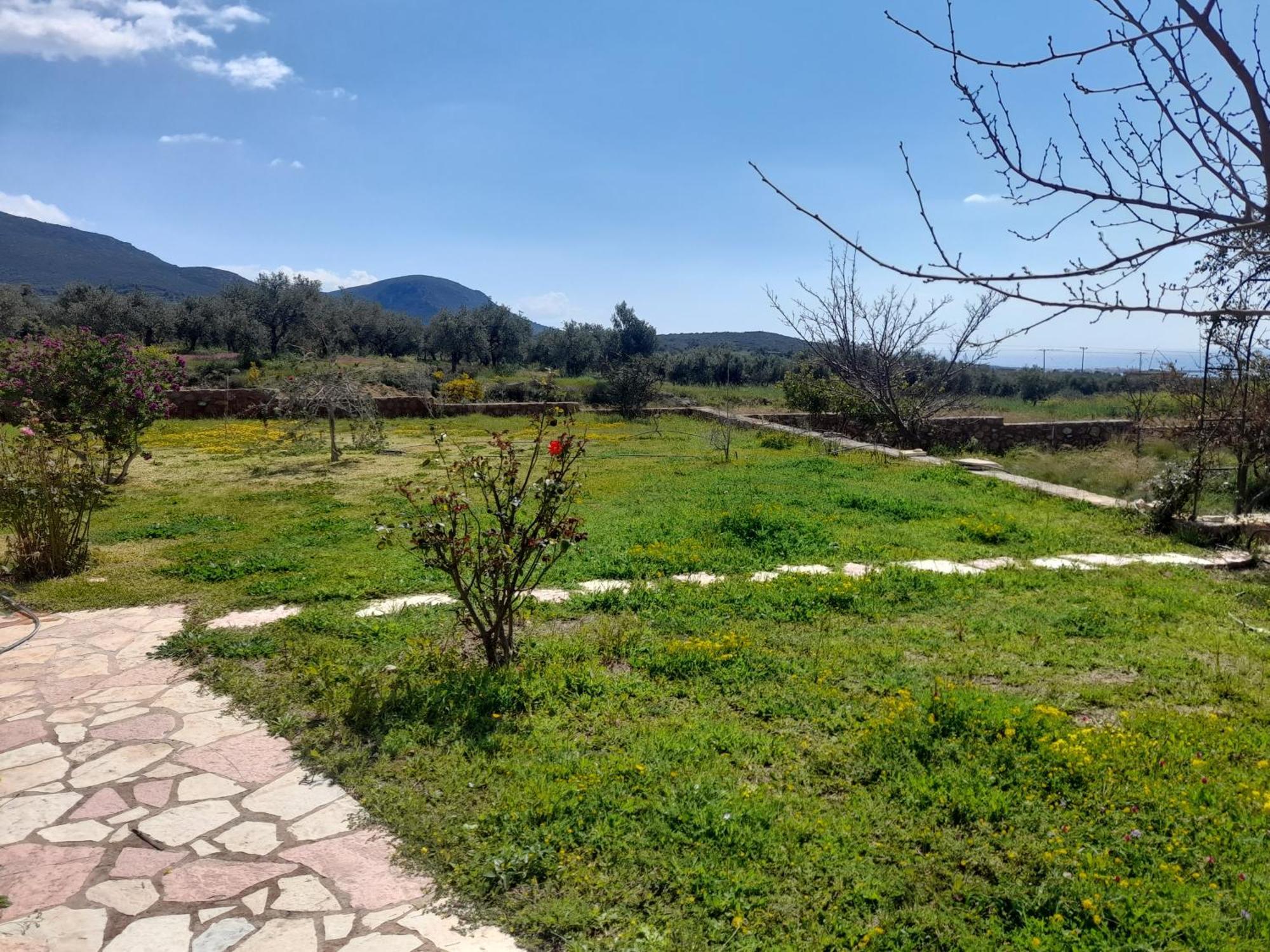 “Villa Othon-Leni” Paralia Demonias Экстерьер фото