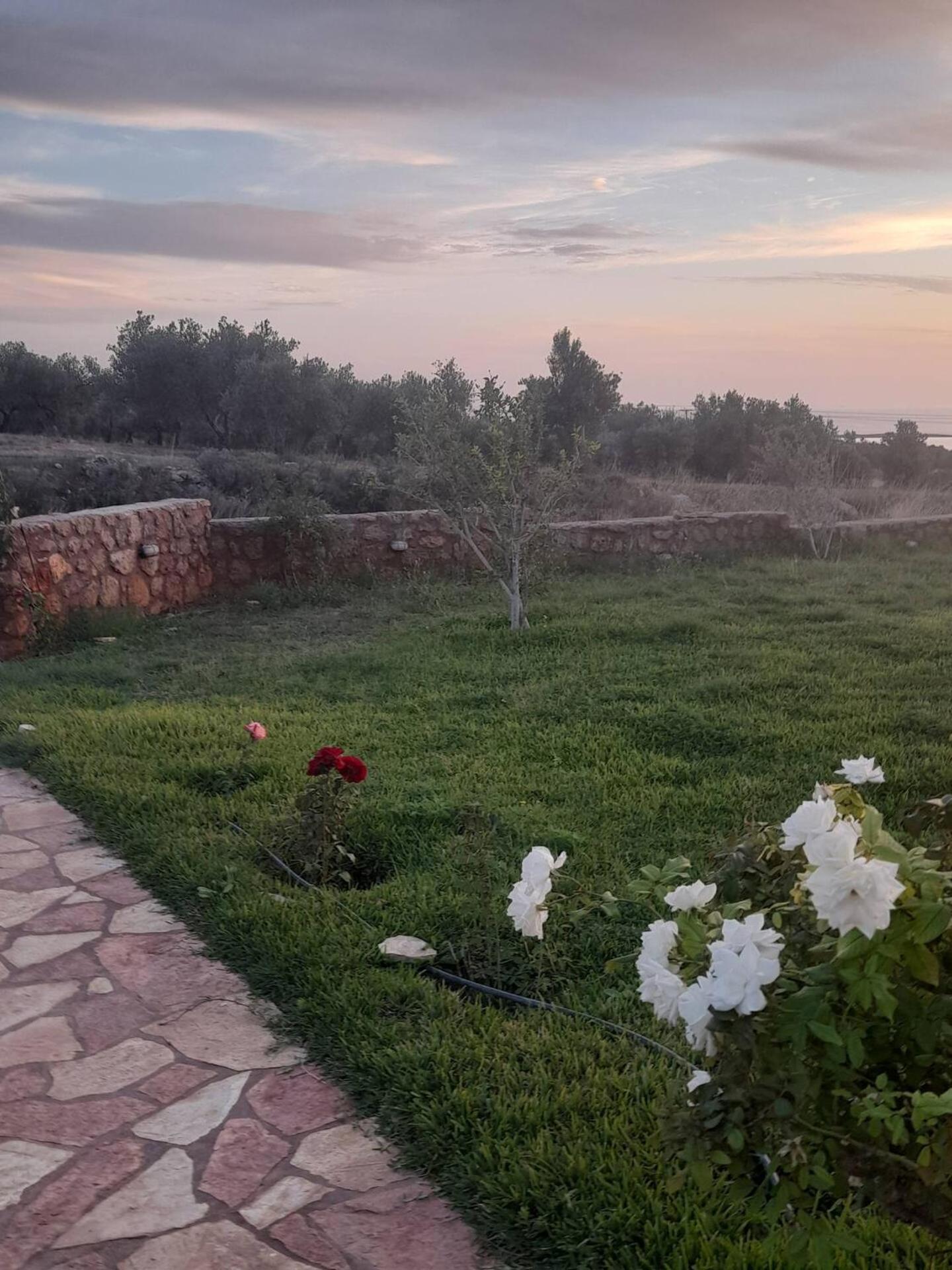 “Villa Othon-Leni” Paralia Demonias Экстерьер фото